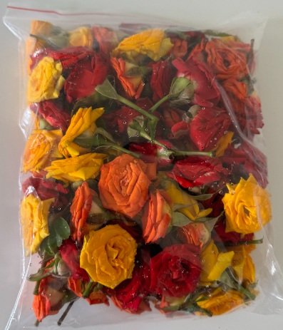 Button Rose - Assorted