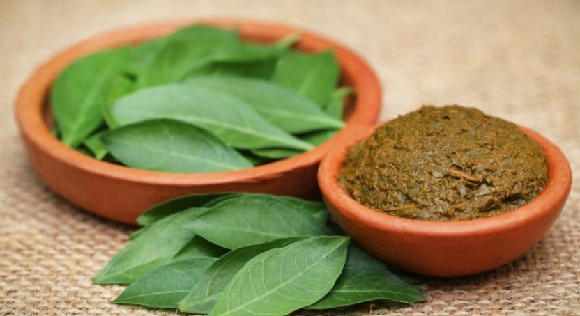 Henna leaves
