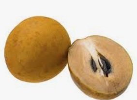 Sapota